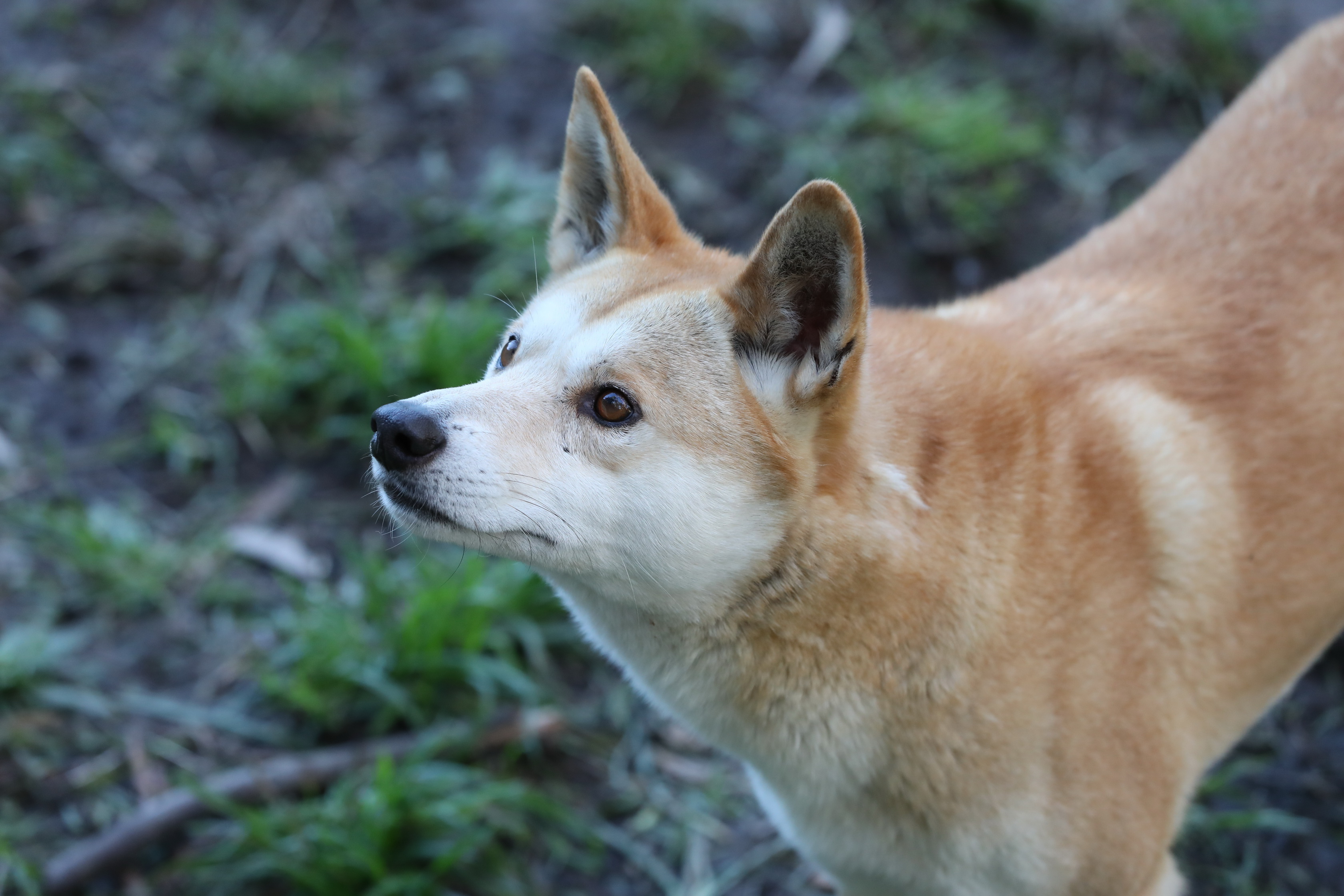 2019 07 19 15 55 08 Canon EOS 5D Mark IV 0053